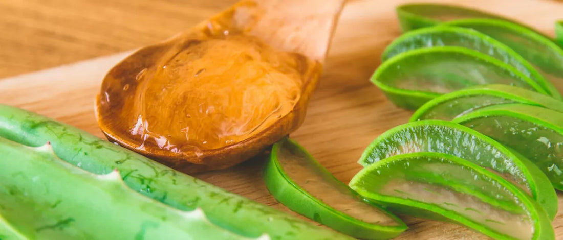 ¿Qué es el Aloe vera y para qué sirve?