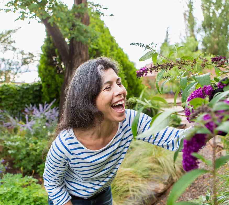 Beta Heart - Dave Suplementos